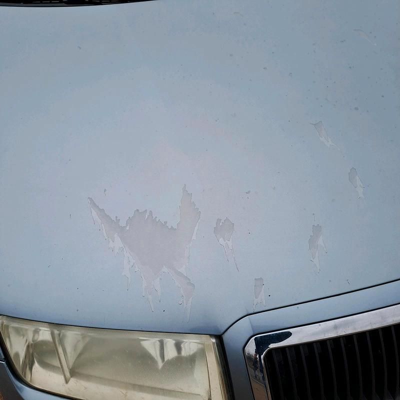 Second-hand Skoda Fabia 115 CP (84 kW) 2003 Albastru Hatchback