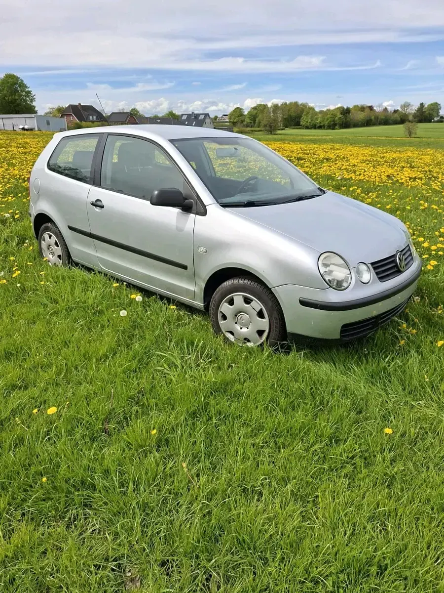 Gebraucht VW Polo 55 PS (40 kW) 2004 Silber Kleinwagen