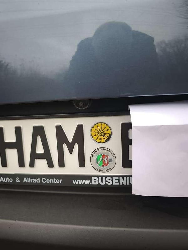 Gebraucht Kia Stonic Platinum Edition 120 PS (88 kW) 2019 Blau SUV