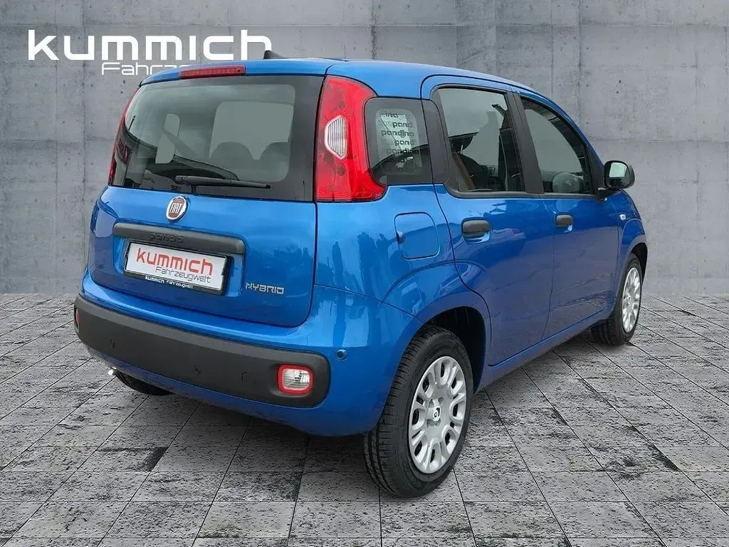 Neu Fiat Panda Icon 69 PS (50 kW) 2026 Blau Kleinwagen