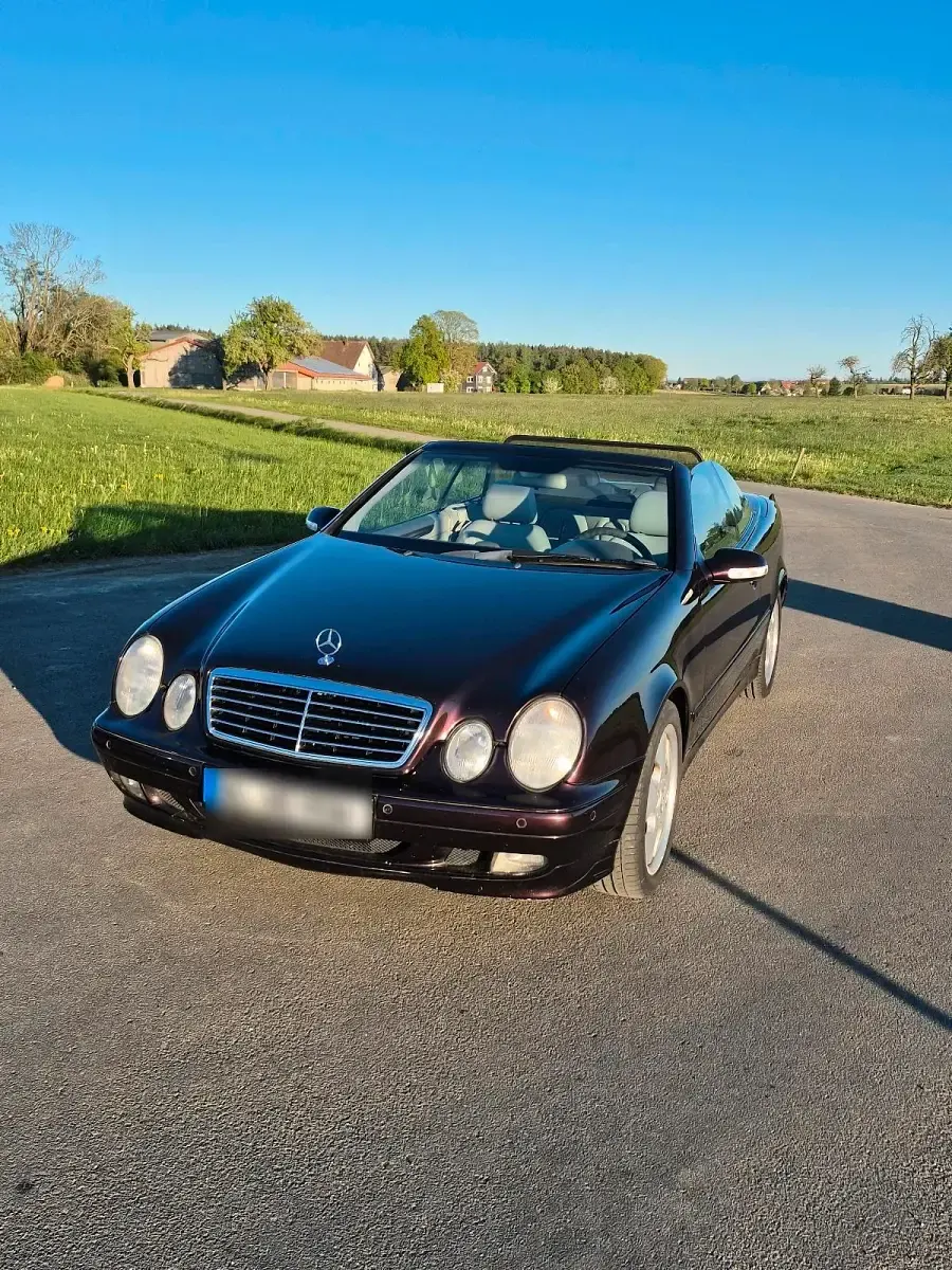 Gebraucht Mercedes CLK230 197 PS (144 kW) 2001 Violet Cabrio