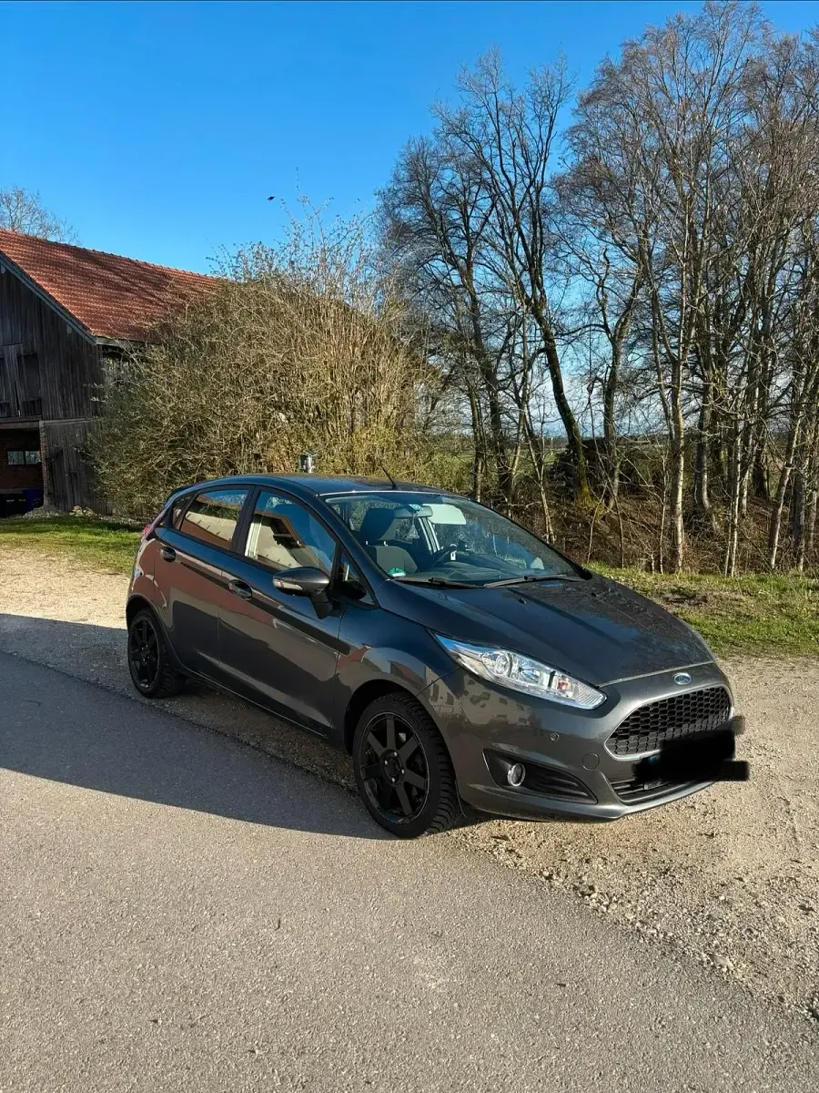 Usata Ford Fiesta 80 CV (58 kW) 2016 Grigio Utilitaria