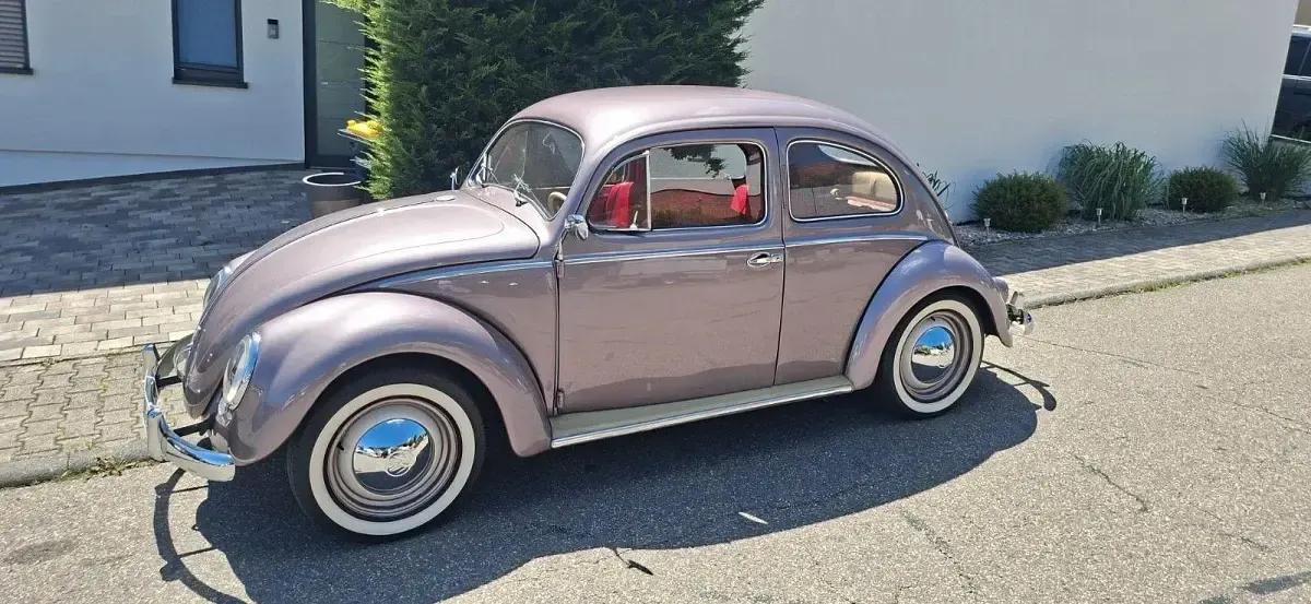 Gebraucht VW Käfer 30 PS (22 kW) 1955 Limousine