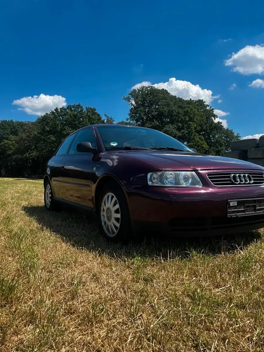Gebraucht Audi A3 90 PS (66 kW) 1997 Andere farben Kleinwagen