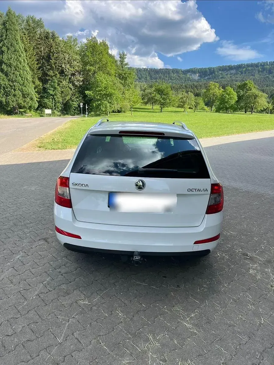 Gebraucht Skoda Octavia Elegance 105 PS (77 kW) 2014 Weiß Kombi
