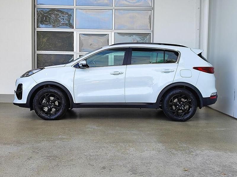 Gebraucht Kia Sportage 136 PS (100 kW) 2021 Weiß SUV