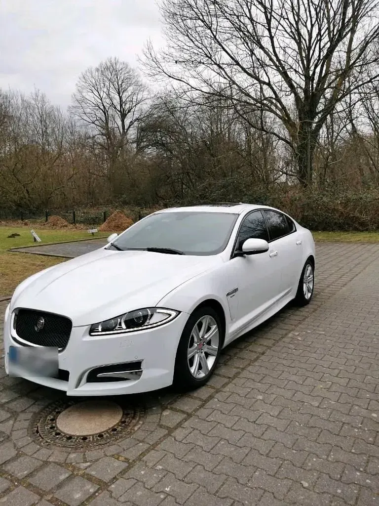 Gebraucht Jaguar XF 241 PS (177 kW) 2014 Weiß Limousine
