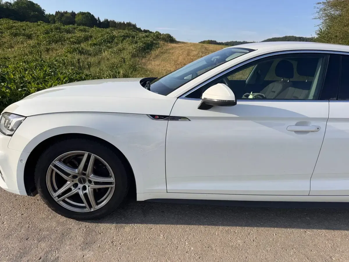 Gebraucht Audi A5 S-Line 190 PS (139 kW) 2018 Weiß Coupé