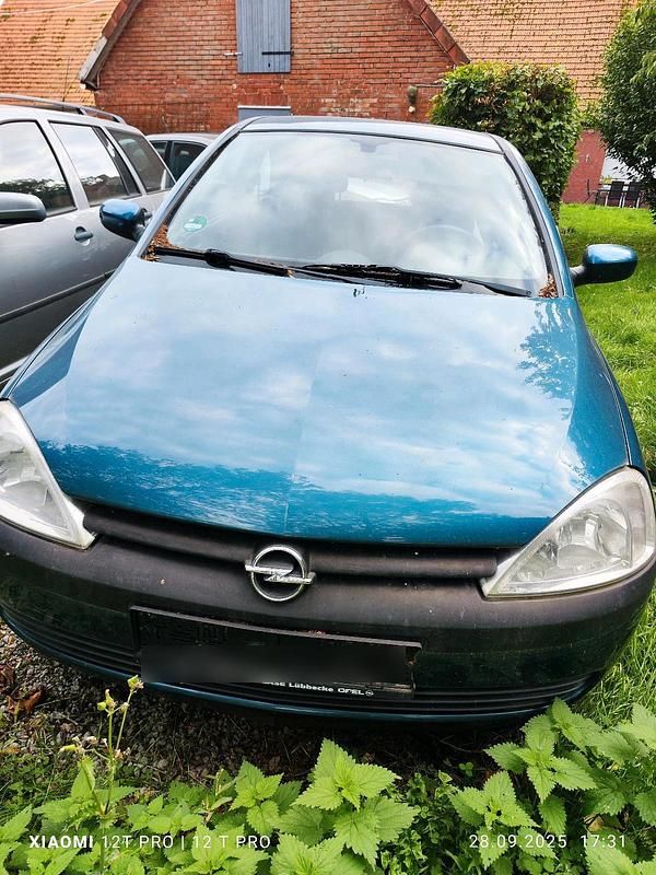 Blau Gebraucht 2002 Opel Corsa Kleinwagen | 800 € (Fairer Preis) - Bild 1/4