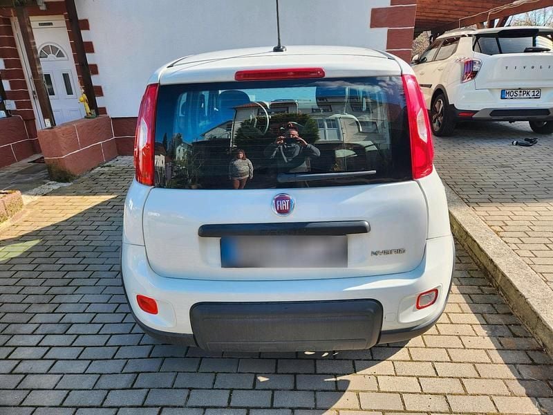 Gebraucht Fiat Panda 69 PS (50 kW) 2023 Weiß Kleinwagen