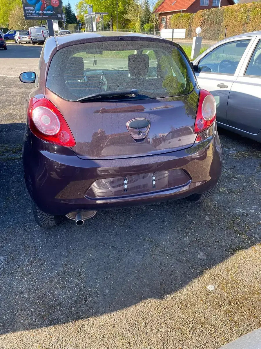 Usata Ford Ka 70 CV (51 kW) 2009 Marrone Utilitaria