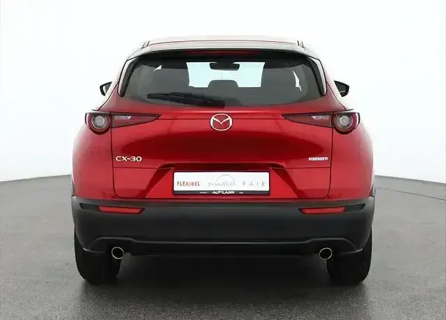 Gebraucht Mazda CX-30 122 PS (89 kW) 2020 Rot SUV