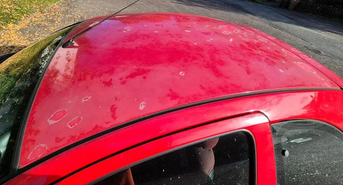 Gebraucht Ford Ka 60 PS (44 kW) 2001 Rot Kleinwagen