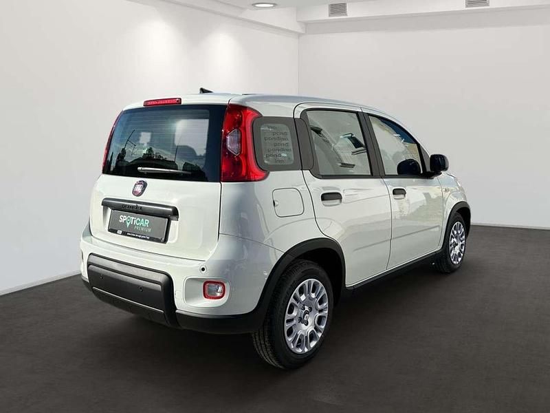 Gebraucht Fiat Panda 69 PS (50 kW) 2024 Gelato weiss Kleinwagen