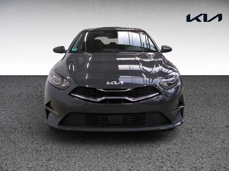 Gebraucht Kia Ceed Comfort 140 PS (102 kW) 2025 Grau Kleinwagen