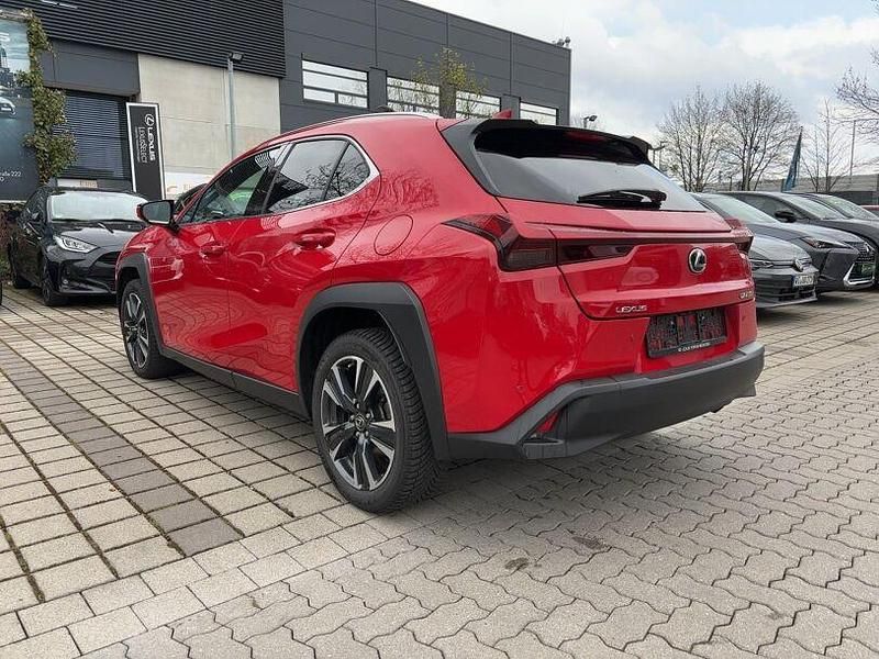 Gebraucht Lexus UX 250h 145 PS (106 kW) 2023 Glutrot SUV