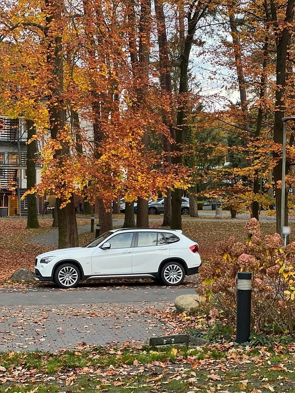 Second-hand BMW X1 143 CP (105 kW) 2011 Alb SUV