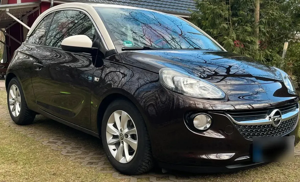 Occasion Opel Adam 70 ch (51 kW) 2014 Marron Citadine
