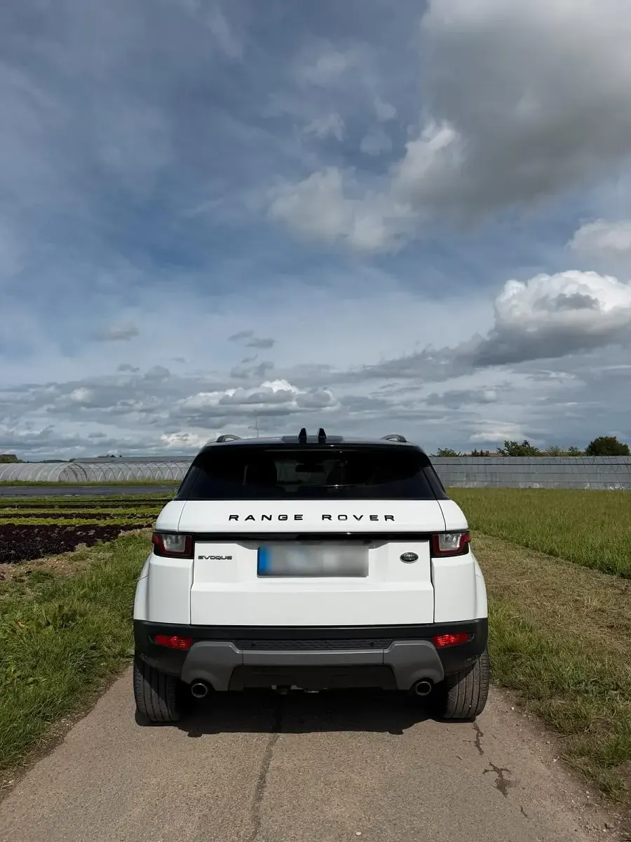 Gebraucht Land Rover Range Rover evoque 180 PS (132 kW) 2018 Weiß SUV