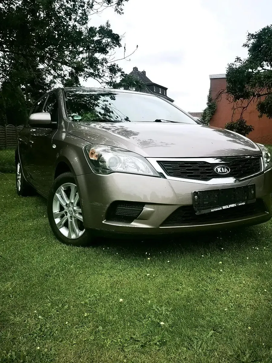 Gebraucht Kia Ceed 90 PS (66 kW) 2010 Braun Kleinwagen