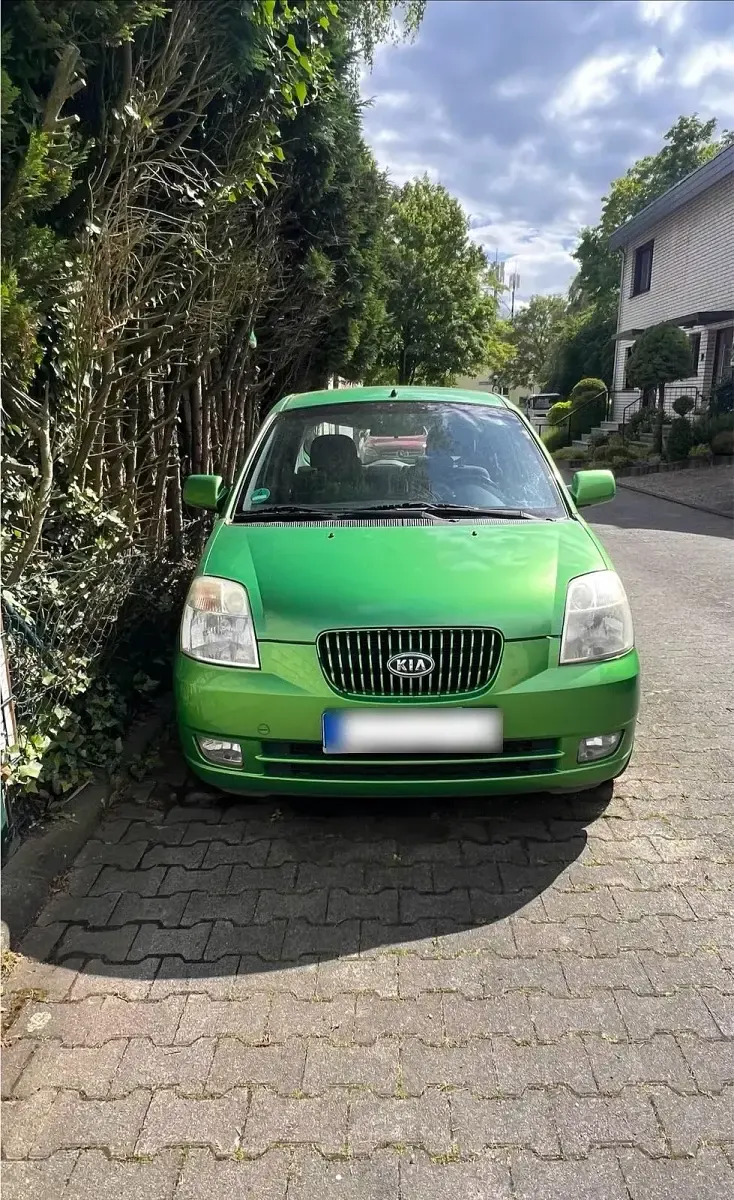 Gebraucht Kia Picanto EX 65 PS (47 kW) 2005 Grün Kleinwagen