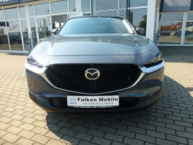 Gebraucht Mazda CX-30 Selection 116 PS (85 kW) 2020 Grau SUV