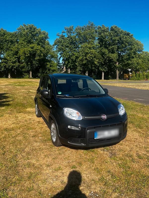 Schwarz Gebraucht 2025 Fiat Panda Kleinwagen | 11.500 € (Guter Preis) - Bild 1/4
