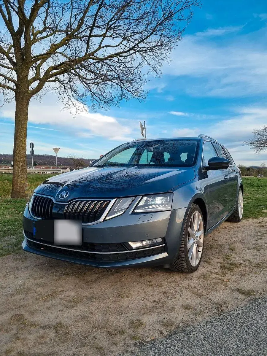 Gebraucht Skoda Octavia 150 PS (110 kW) 2017 Grau Kombi