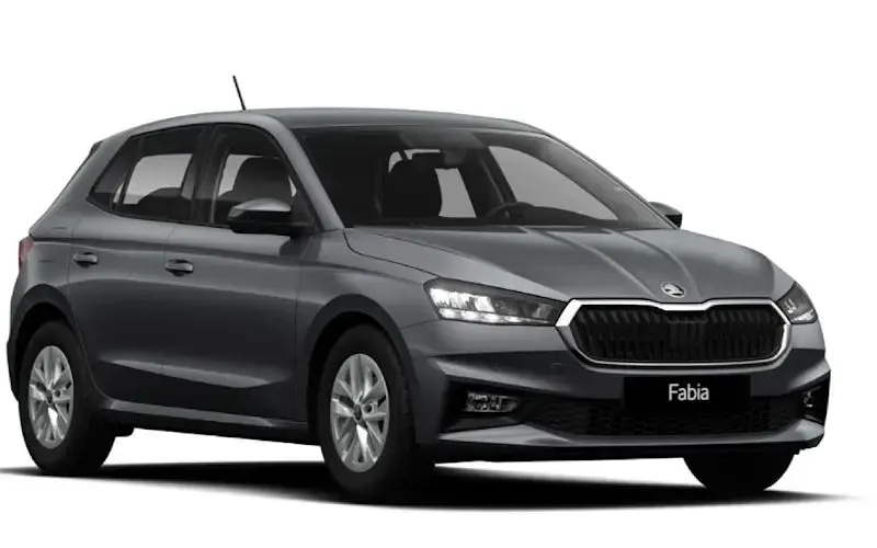 Gebraucht Skoda Fabia Selection 95 PS (69 kW) 2026 Kleinwagen