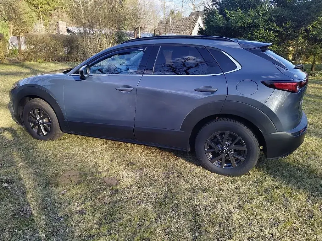 Gebraucht Mazda CX-30 Selection 179 PS (131 kW) 2019 Grau SUV