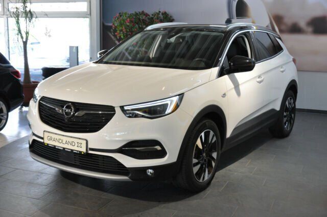 Gebraucht Opel Grandland X Ultimate 131 PS (96 kW) 2020 Weiß metallic SUV