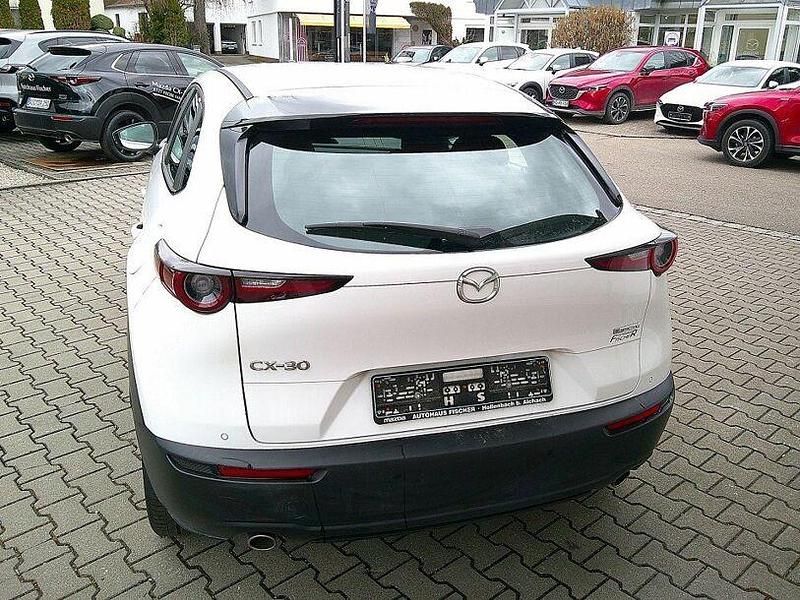 Gebraucht Mazda CX-30 Selection 150 PS (110 kW) 2023 Weiss SUV