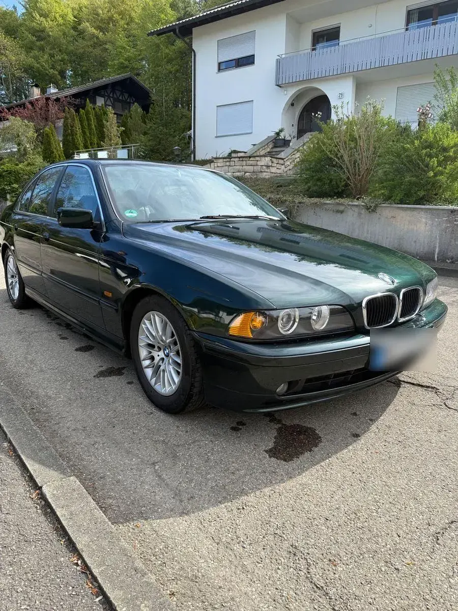 Używany BMW 520 Performance 170 KM (125 kW) 2003 Zielony Sedan/Limuzyna