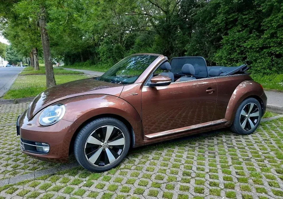 Gebraucht VW Beetle Cabriolet Allstar 105 PS (77 kW) 2016 Andere farben Cabrio