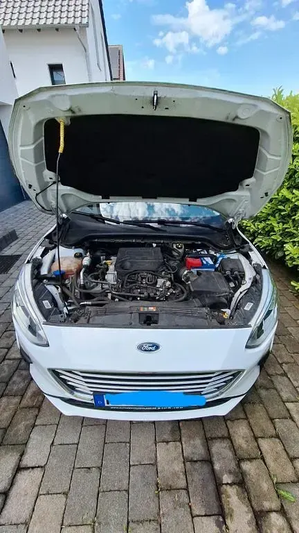 Gebraucht Ford Focus Cool & Connect 125 PS (91 kW) 2019 Weiß Limousine