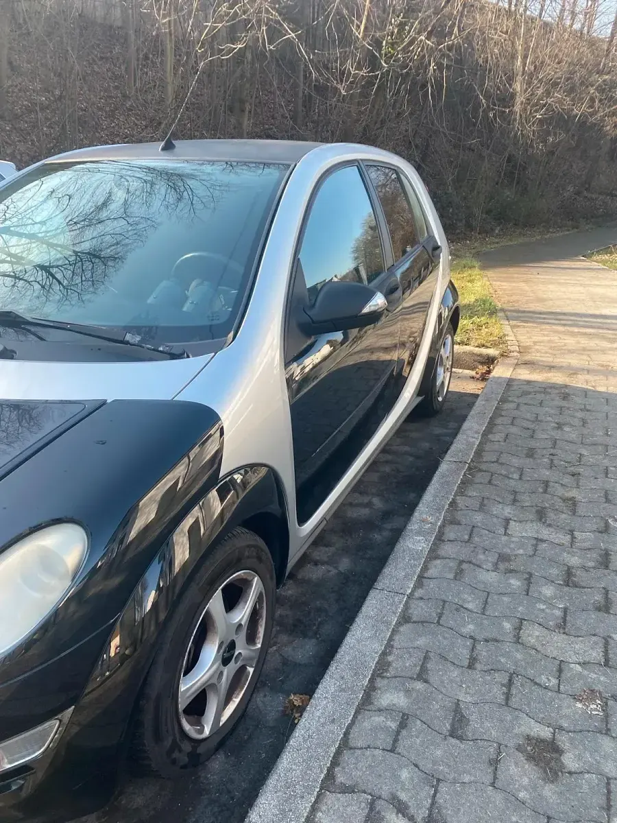 Gebraucht Smart ForFour 75 PS (55 kW) 2004 Grün Kleinwagen