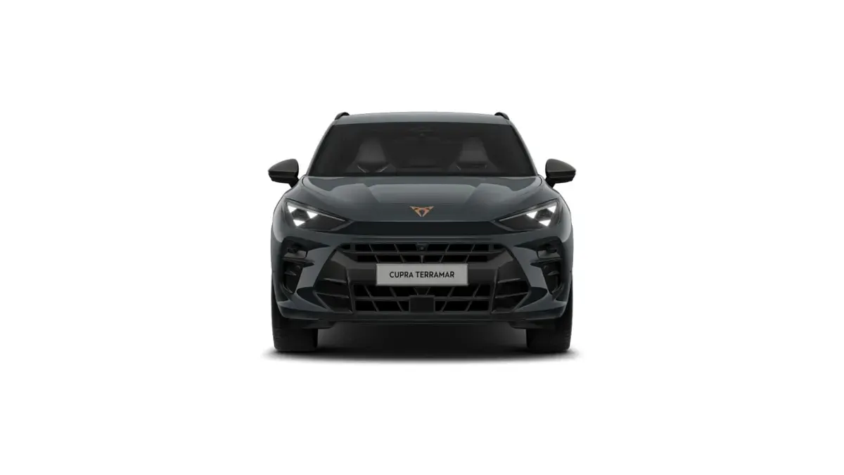Gebraucht Cupra Terramar 150 PS (110 kW) 2025 Blau SUV