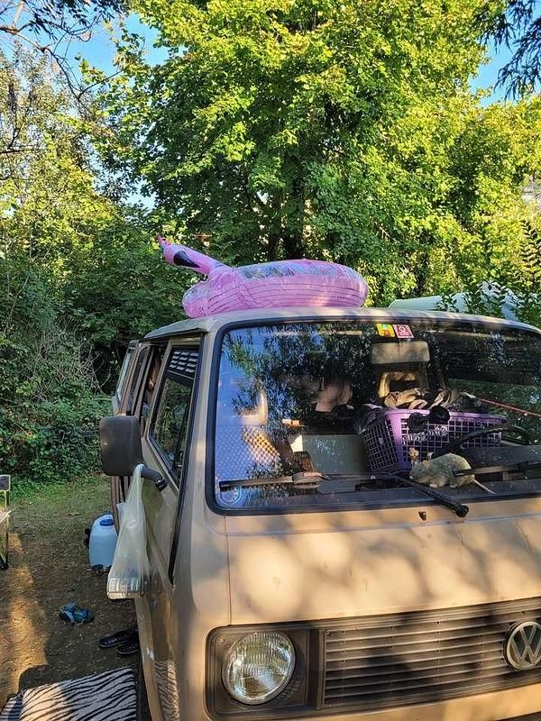 Gebraucht VW T3 60 PS (44 kW) 1986 Beige Van