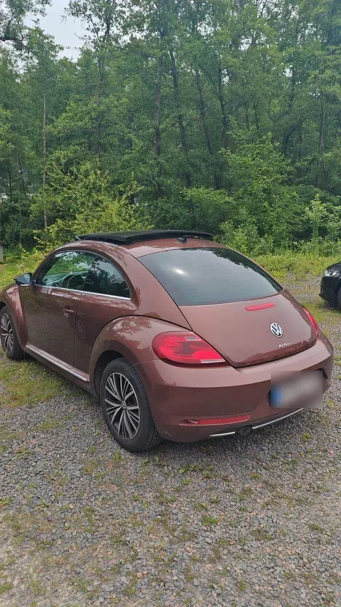 Gebraucht VW Beetle Allstar 110 PS (80 kW) 2016 Braun Kleinwagen
