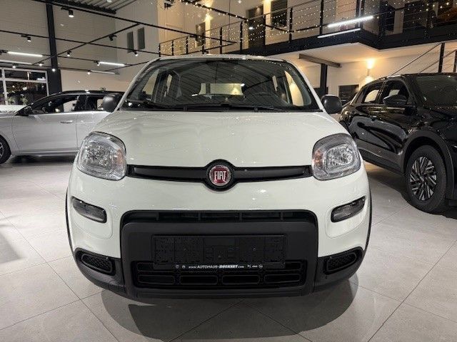 Gebraucht Fiat Panda 69 PS (50 kW) 2024 Weiss) (weiss Kleinwagen