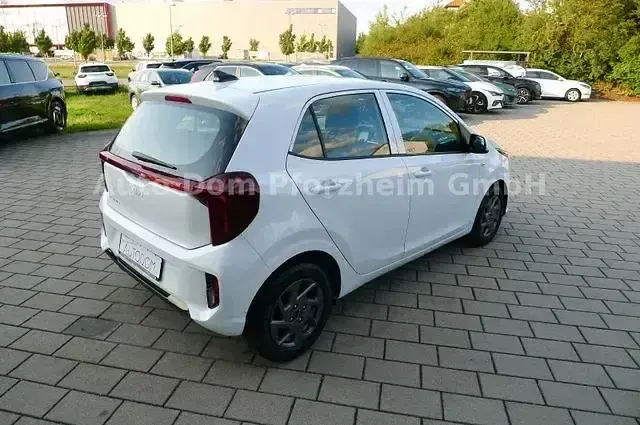 Brugt Kia Picanto Vision 63 HK (46 kW) 2024 Hvid Hatchback