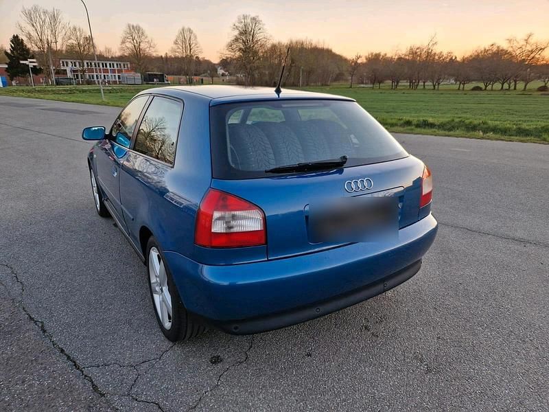 Usata Audi A3 131 CV (96 kW) 2001 Blu Utilitaria