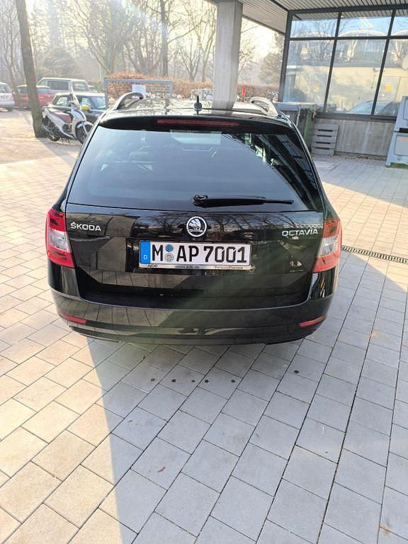 Gebraucht Skoda Octavia Drive 150 PS (110 kW) 2017 Schwarz Kombi