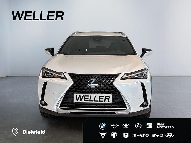 Gebraucht Lexus UX 250h 184 PS (135 kW) 2021 Weiss SUV