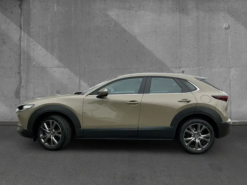 Gebraucht Mazda CX-30 Exclusive 122 PS (89 kW) 2024 Zircon sand SUV