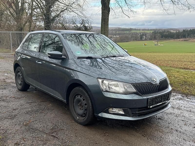 Gebraucht Skoda Fabia Cool Plus 60 PS (44 kW) 2017 Grau Kleinwagen