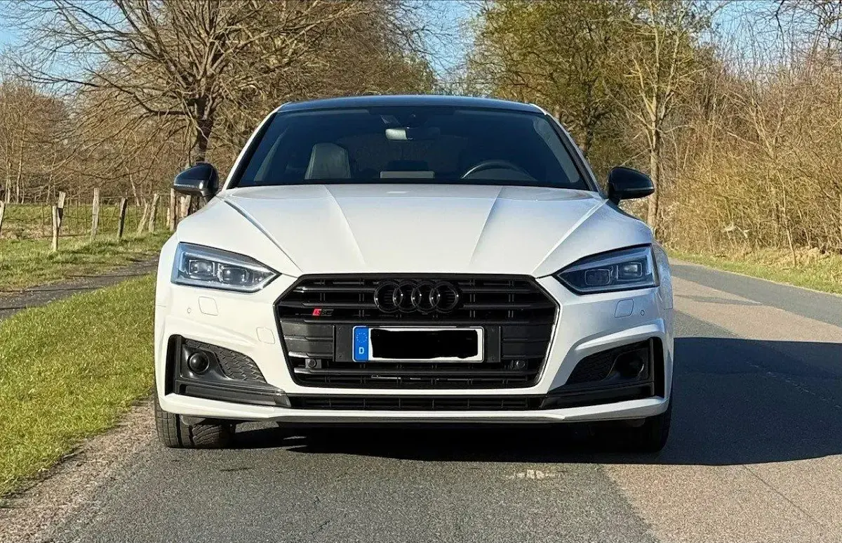 Gebraucht Audi S5 Sportback Ambiente 352 PS (258 kW) 2019 Weiß Kleinwagen