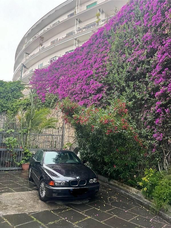 Second-hand BMW 528 193 CP (141 kW) 2000 Negru Berlinǎ