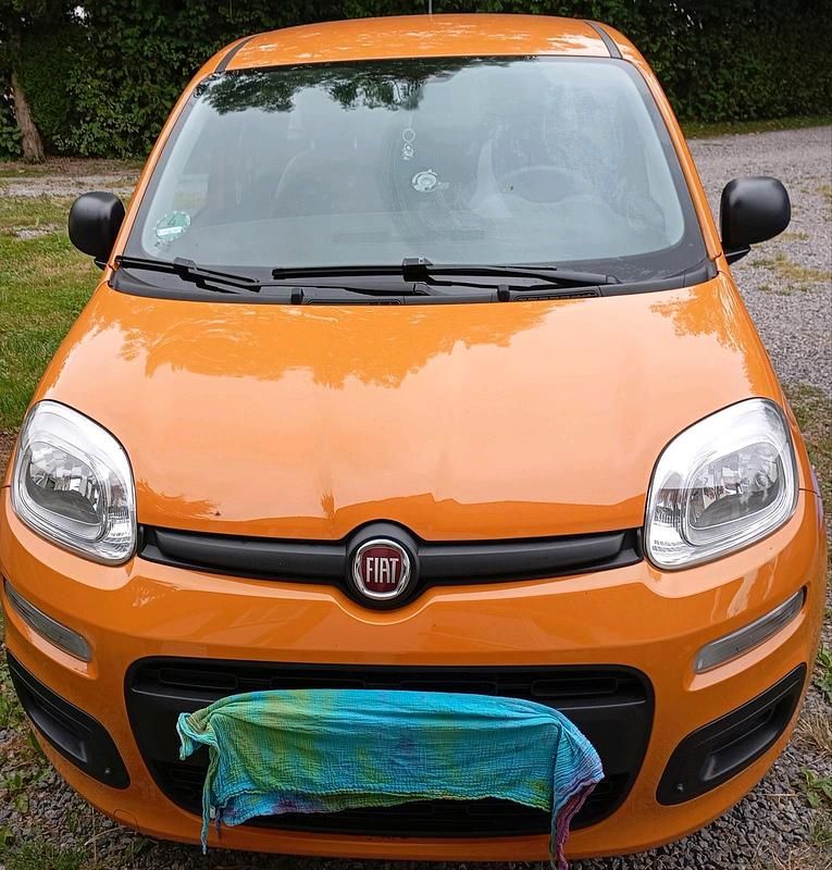 Orange Gebraucht 2019 Fiat Panda Kleinwagen | 6.400 € (Guter Preis) - Bild 1/4