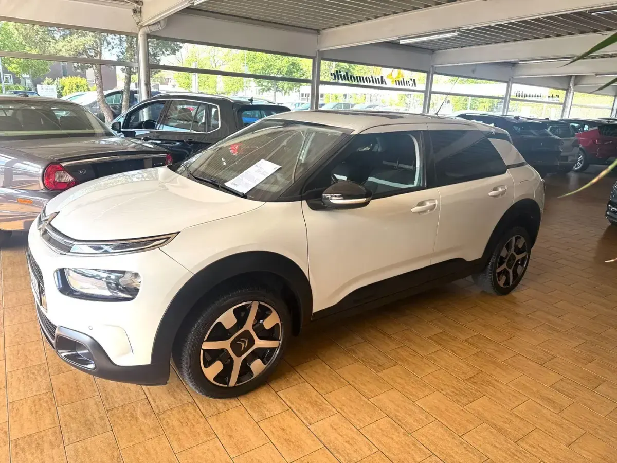 Gebraucht Citroën C4 Cactus Shine 131 PS (96 kW) 2019 Weiß Kleinwagen